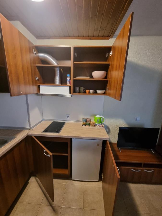 Cosy Apartments Within Walking Distance To Ski Lifts Bansko Buitenkant foto